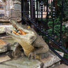 NatureStatue™ Charm Your Garden