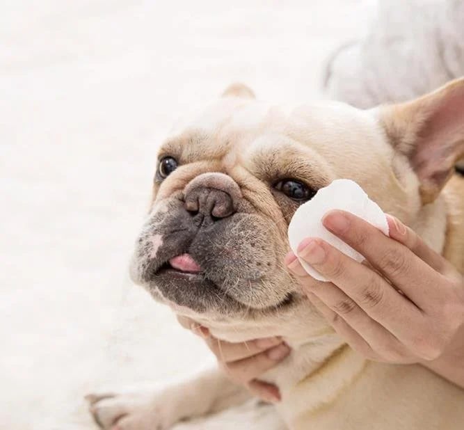 PetGleam™ Soothing Pet Wipes