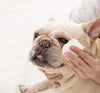 PetGleam™ Soothing Pet Wipes