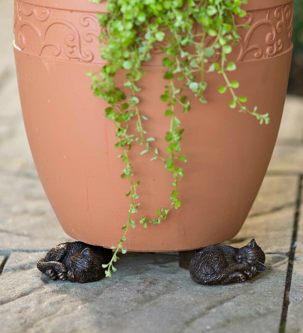 PotStand™ Healthy Root Support