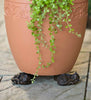 PotStand™ Healthy Root Support