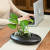 Large-caliber Ceramic Flowerpot for Office and Balcony