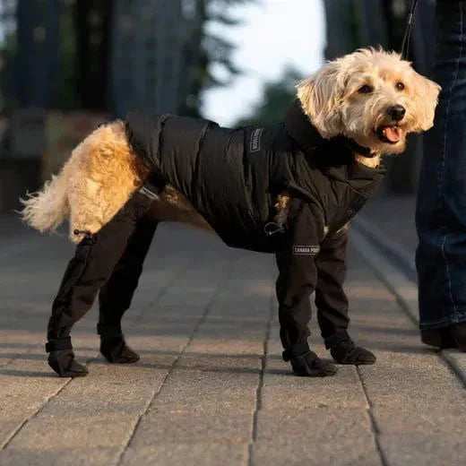 Dog Boots with Suspenders | Adjustable Straps & Breathable Design | Non-Slip Paw Protection for Outdoor Adventures