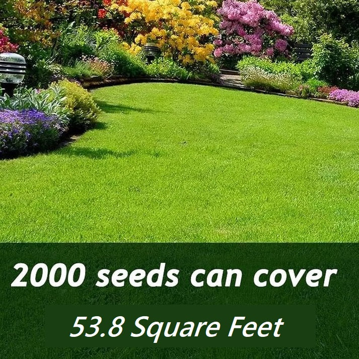 MiniSprout™ Year-Round Greenery