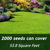 MiniSprout™ Year-Round Greenery