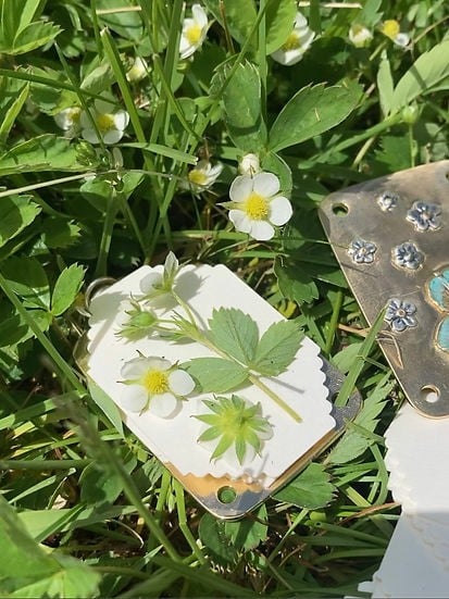 Mini Flower Press | Compact Botanical Keepsake Maker | Portable Craft Tool