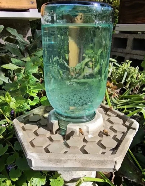 HiveDrink™ Hydrates Pollinator Life