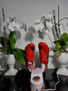DryKick™ Hygienic Shoe Solution