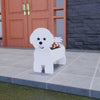 PawPlanter™ Green Pet Oasis