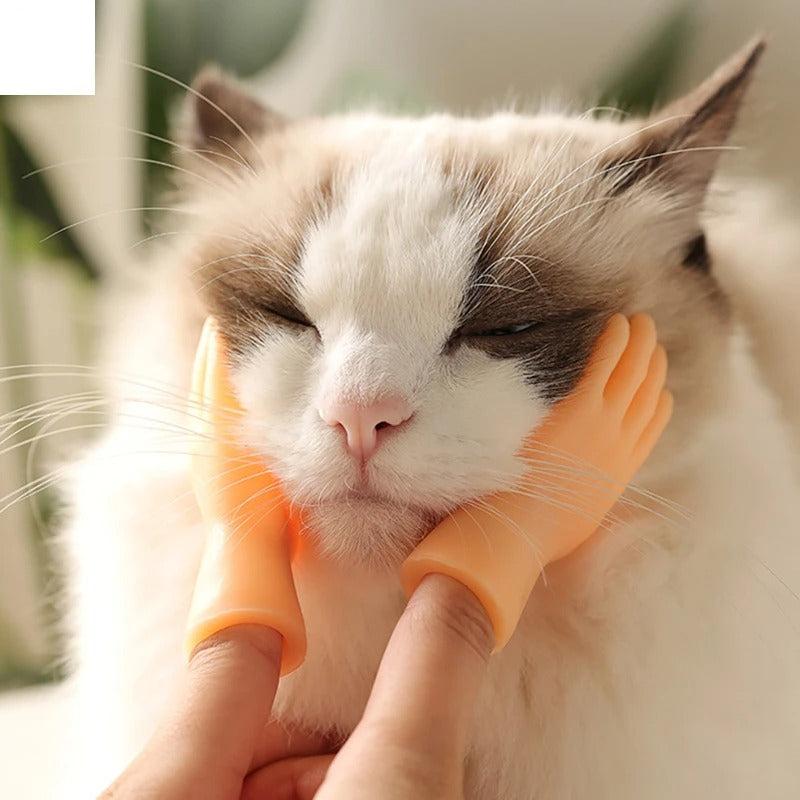 1+1 Free | KittyTickle™ Charming Chase Game