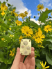 Mini Flower Press | Compact Botanical Keepsake Maker | Portable Craft Tool