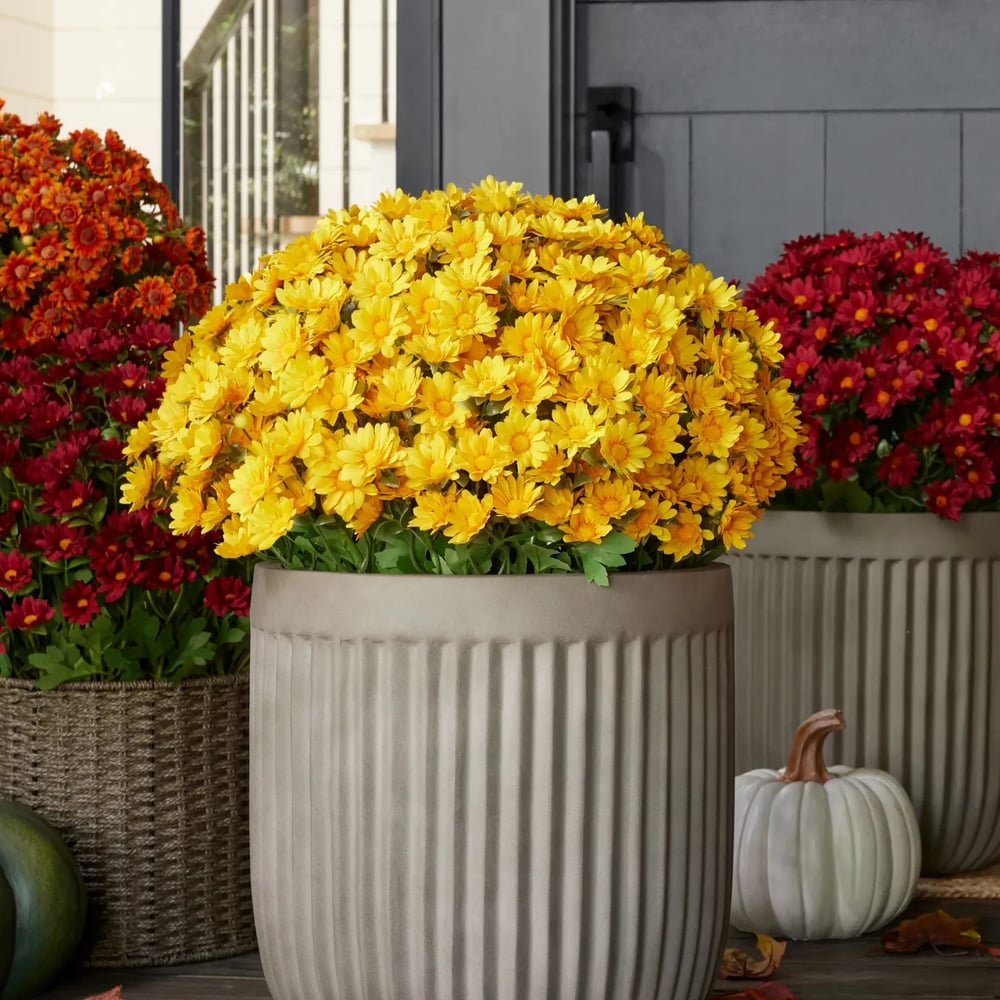 Artificial Mum Flowers | UV-Resistant Silk Blend | Lifelike Fall Decor