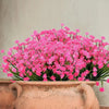 FloraBloom™ Lasting Botanical Grace