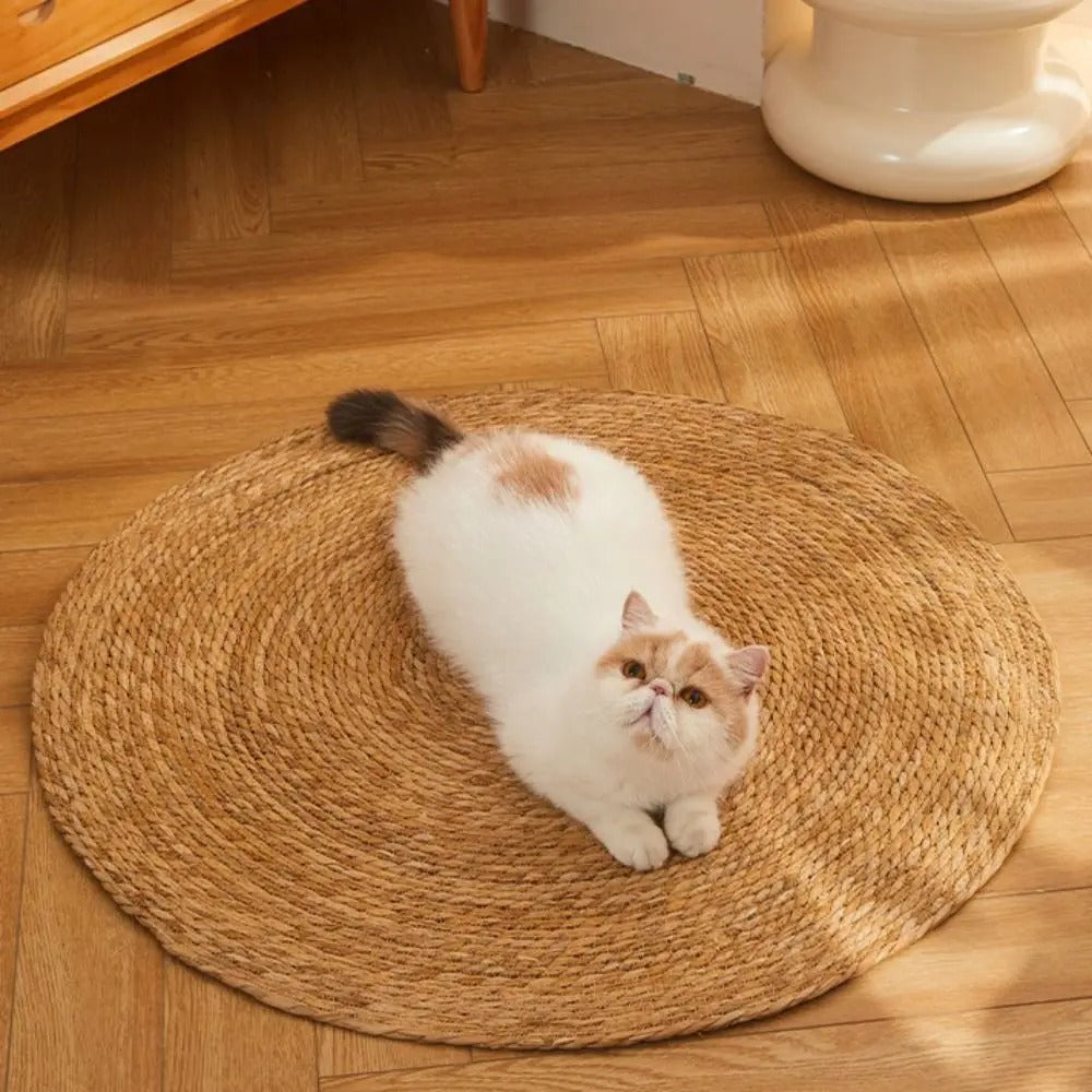 PurrPad™ Paw-Friendly Pad