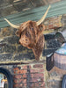 Hand-Woven Wall Art Sculpture | Highland Cattle Design | Rustic Handmade Home Decor | 11.8 × 8.6 in