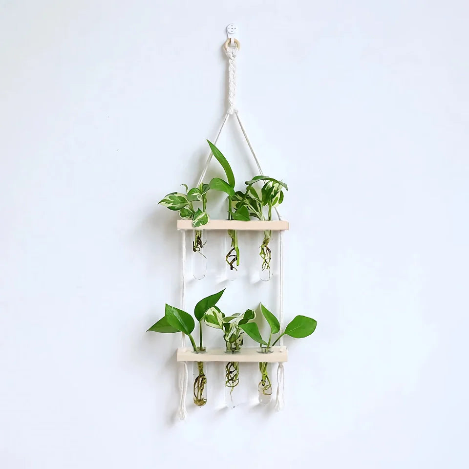 Elegant Wooden Hydroponic Wall Vase