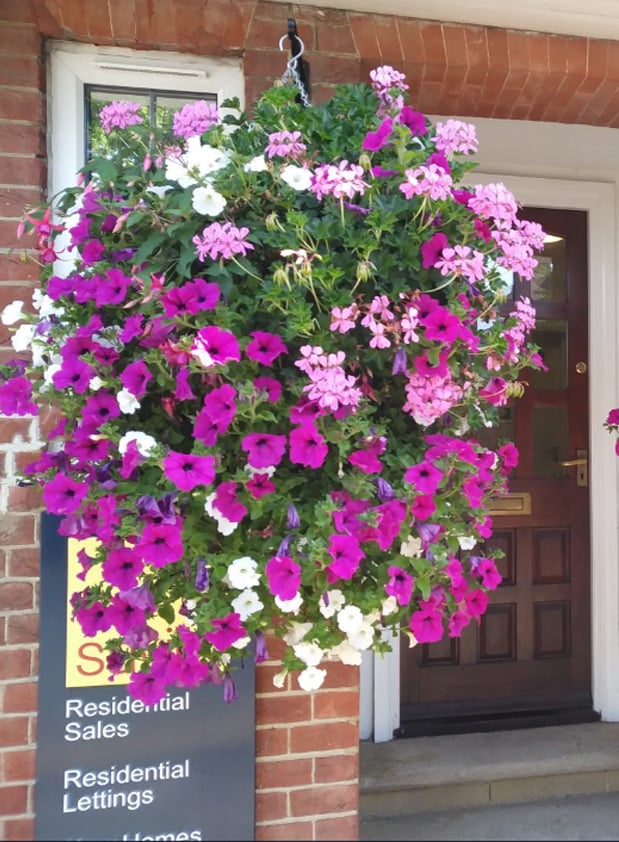 GloryBloom™ Everlasting Floral Beauty