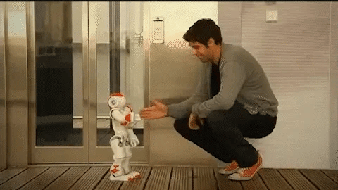 Smart Robot Toy for Kids | ThinkBot™ Interactive Learning Robot | Gesture Control | Dancing & Talking | Rechargeable