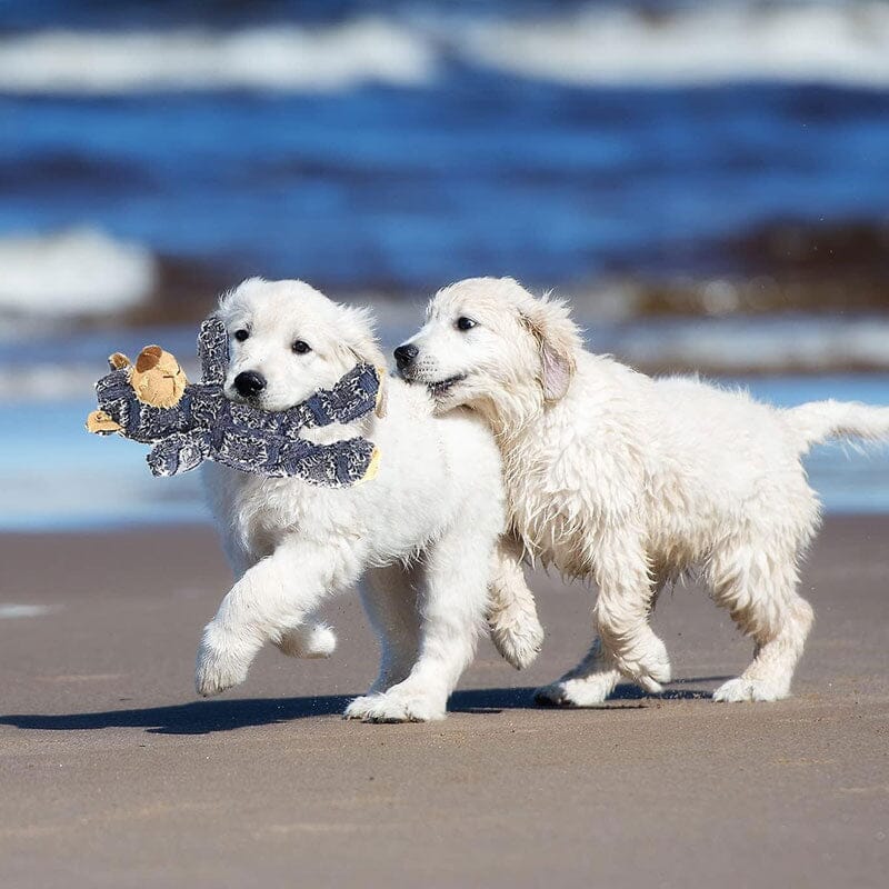ToughToy™ Durable Pet Entertainment