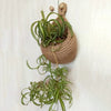 WallNest™ Declutter With Style