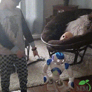 Smart Robot Toy for Kids | ThinkBot™ Interactive Learning Robot | Gesture Control | Dancing & Talking | Rechargeable