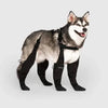 Dog Boots with Suspenders | Adjustable Straps & Breathable Design | Non-Slip Paw Protection for Outdoor Adventures