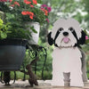 PawPlanter™ Green Pet Oasis