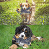 ToughToy™ Durable Pet Entertainment