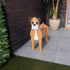 PawPlanter™ Green Pet Oasis