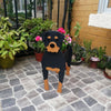 PawPlanter™ Green Pet Oasis