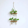 Elegant Wooden Hydroponic Wall Vase