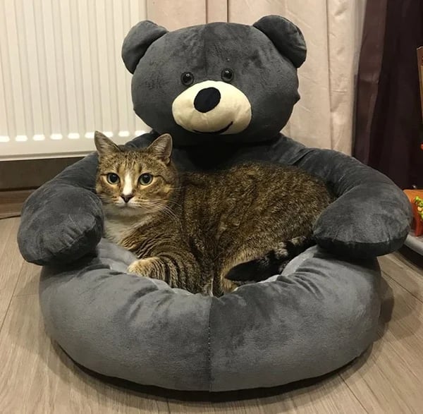 CozyPaws™ Ultimate Pet Comfort