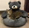 CozyPaws™ Ultimate Pet Comfort