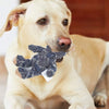 ToughToy™ Durable Pet Entertainment