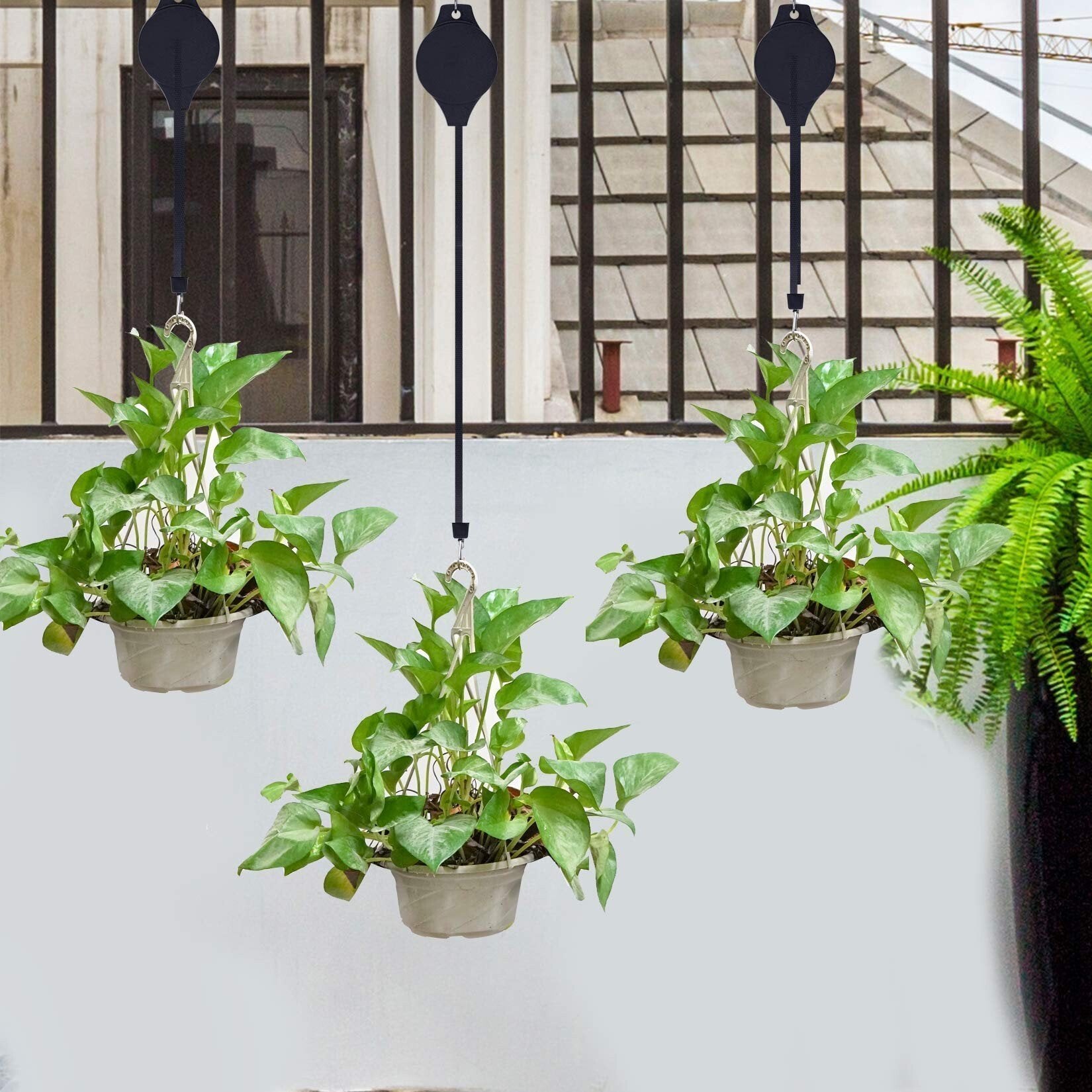 GreenLift™ Mess-Free Plant Hanging