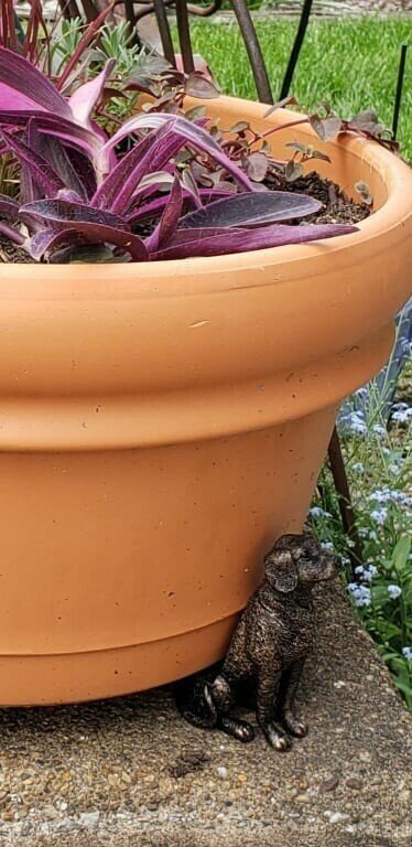 PotStand™ Healthy Root Support