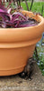 PotStand™ Healthy Root Support
