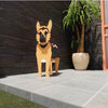 PawPlanter™ Green Pet Oasis