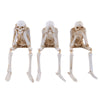 HauntTrio™ Boneyard Halloween Skeleton Ornaments (Set of 3)