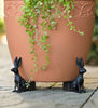 PotStand™ Healthy Root Support