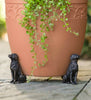 PotStand™ Healthy Root Support