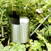 Stainless Steel Watering Can for Indoor & Outdoor Plants – 300ML Long Spout