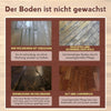 TimberGlow™ Enhanced Wood Care