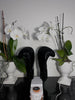 DryKick™ Hygienic Shoe Solution