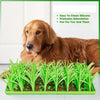 TidyFeast™ Pet-Friendly Meal Pad