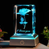VividGlow™ Enchanting Ambient Illumination