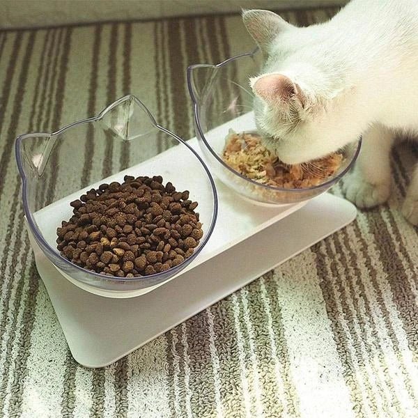 Anti-Vomiting Cat Bowl