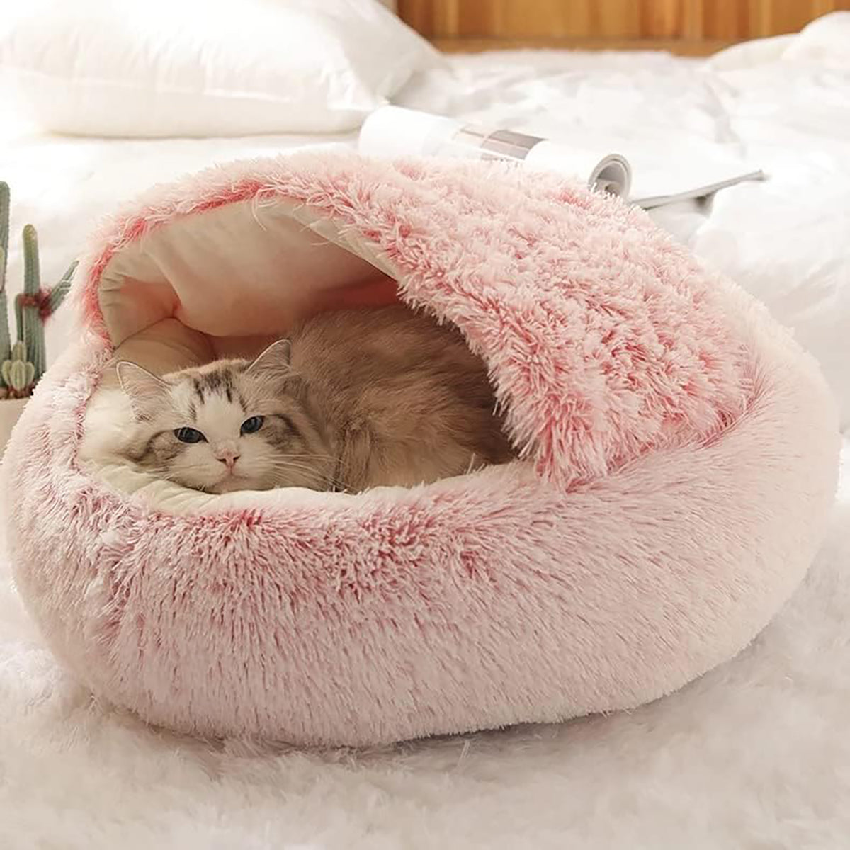 Snugpaws™ - Comfort for Your Pet's Recovery