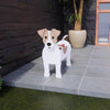 PawPlanter™ Green Pet Oasis
