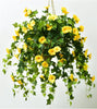 GloryBloom™ Everlasting Floral Beauty